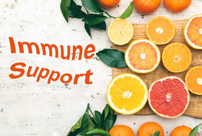 The Most Dynamic Immune Supplements