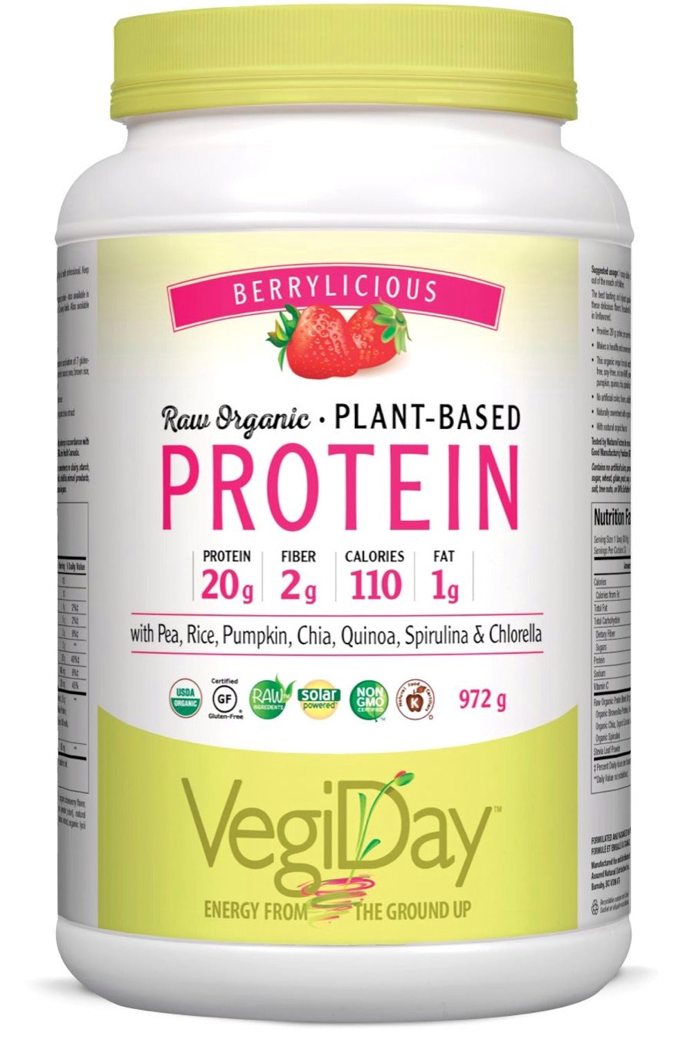 VEGIDAY Protein - Very Berry (972 g)