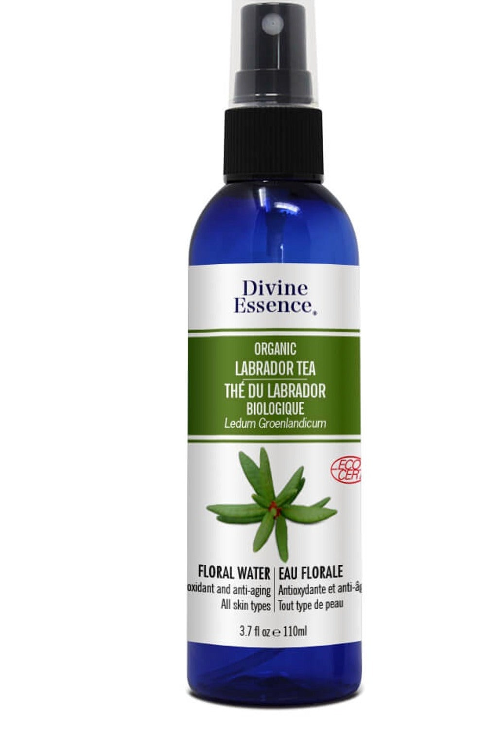 DIVINE ESSENCE Labrador Tea (Organic - 110 ml)