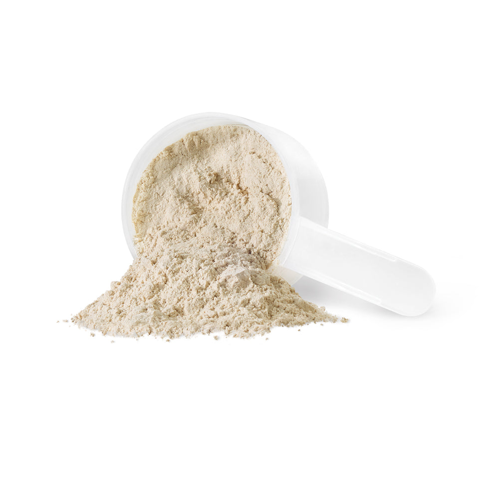 IRON VEGAN Sprouted Protein (Vanilla - 500 gr)